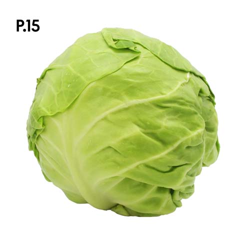 Přírodopis_motiv15.jpg Přírodopis_motiv15.jpg